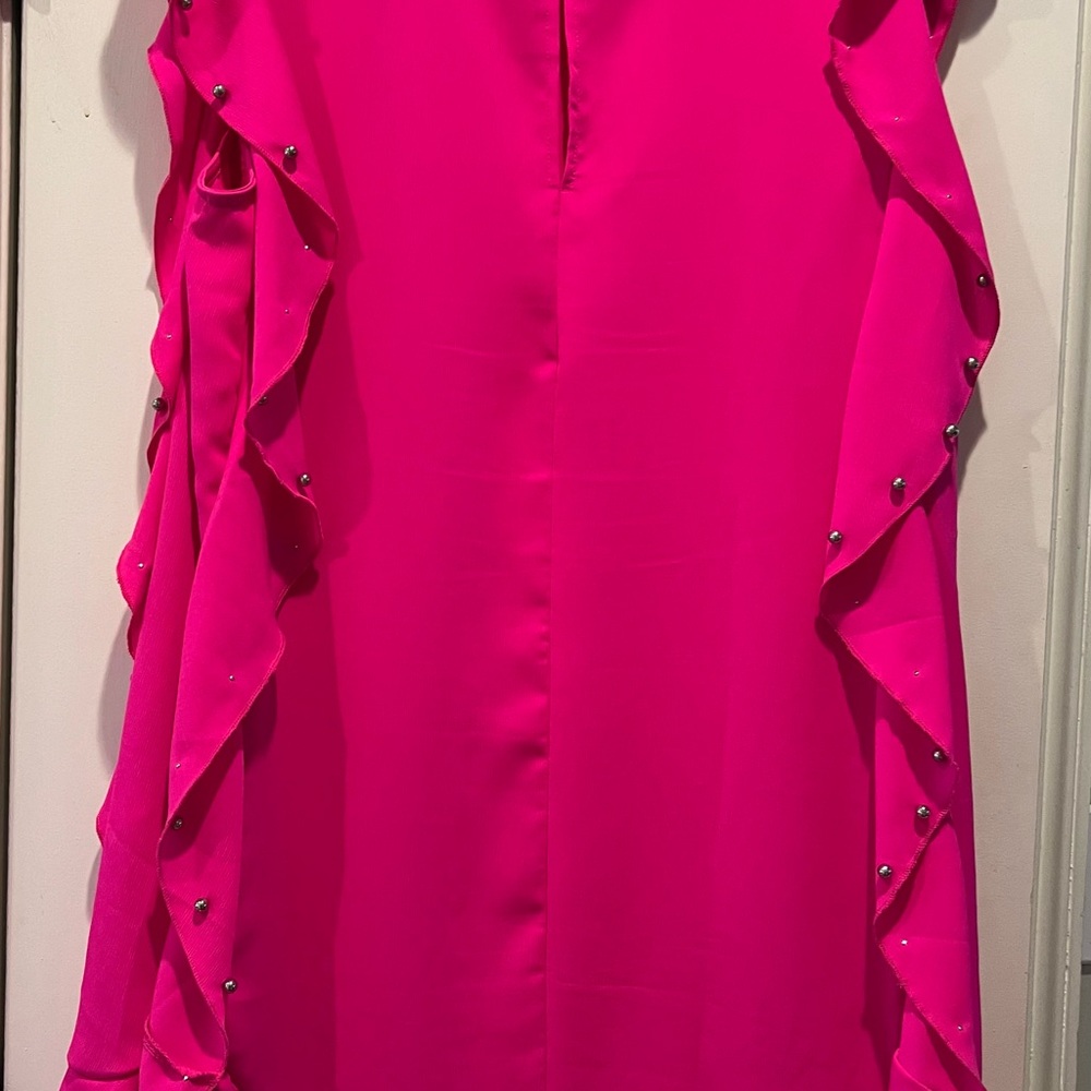 TCEC Pink Ruffle Dress - Picture 2 of 8